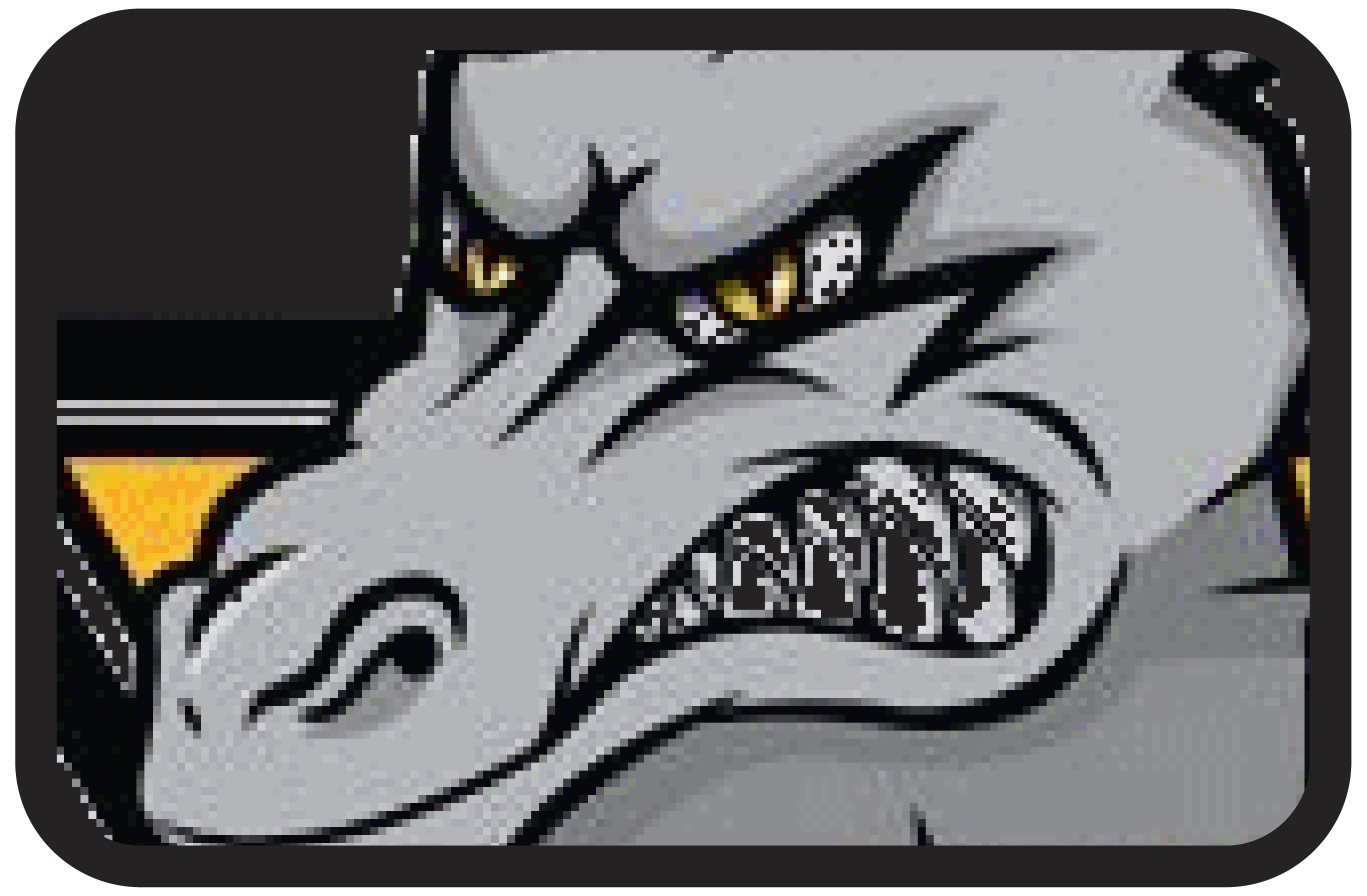 logos-hcma-d1