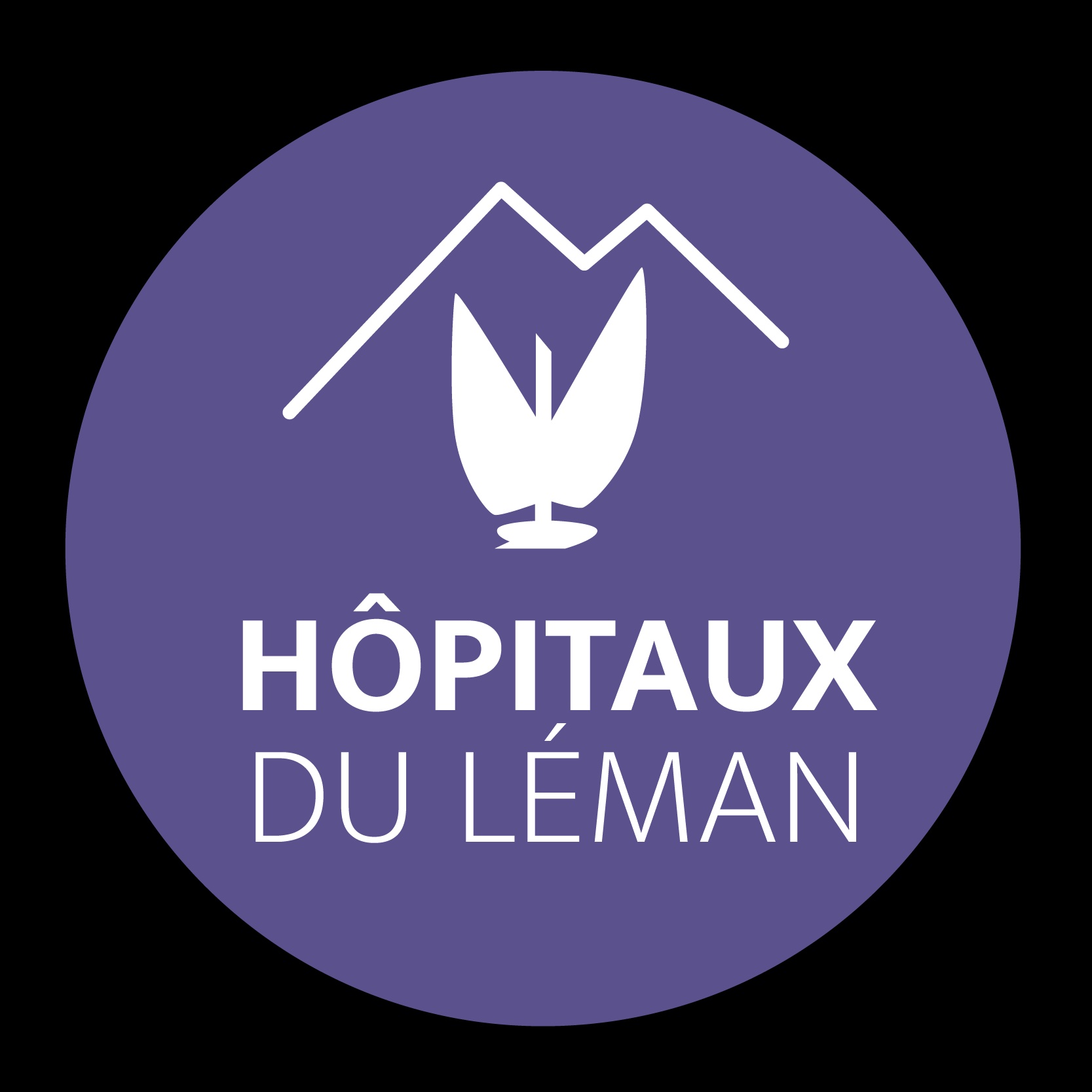 HOPITAUXLEMAN-Logo-CMJN-300DPI-couleur